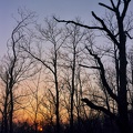 Sheltowee Trace sunset